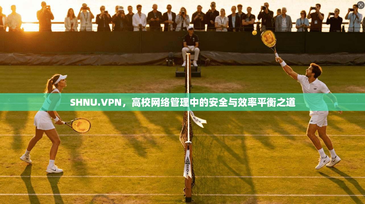 SHNU.VPN，高校网络管理中的安全与效率平衡之道