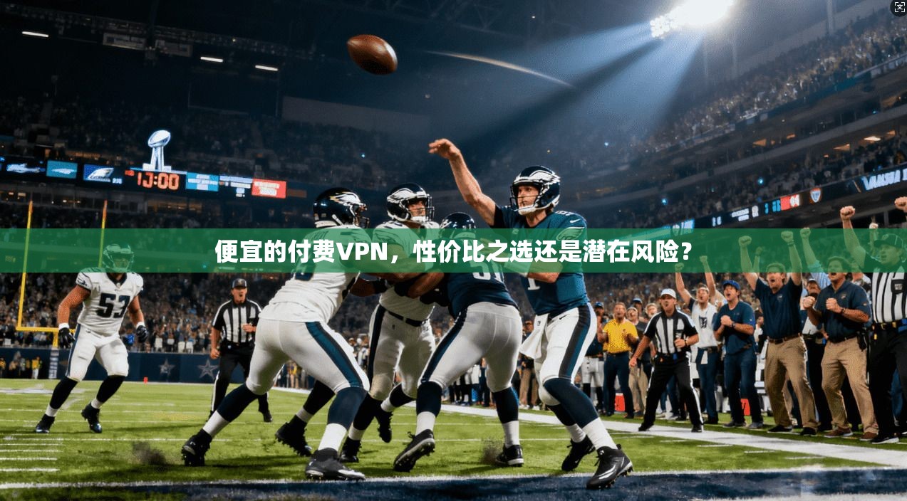 便宜的付费VPN，性价比之选还是潜在风险？