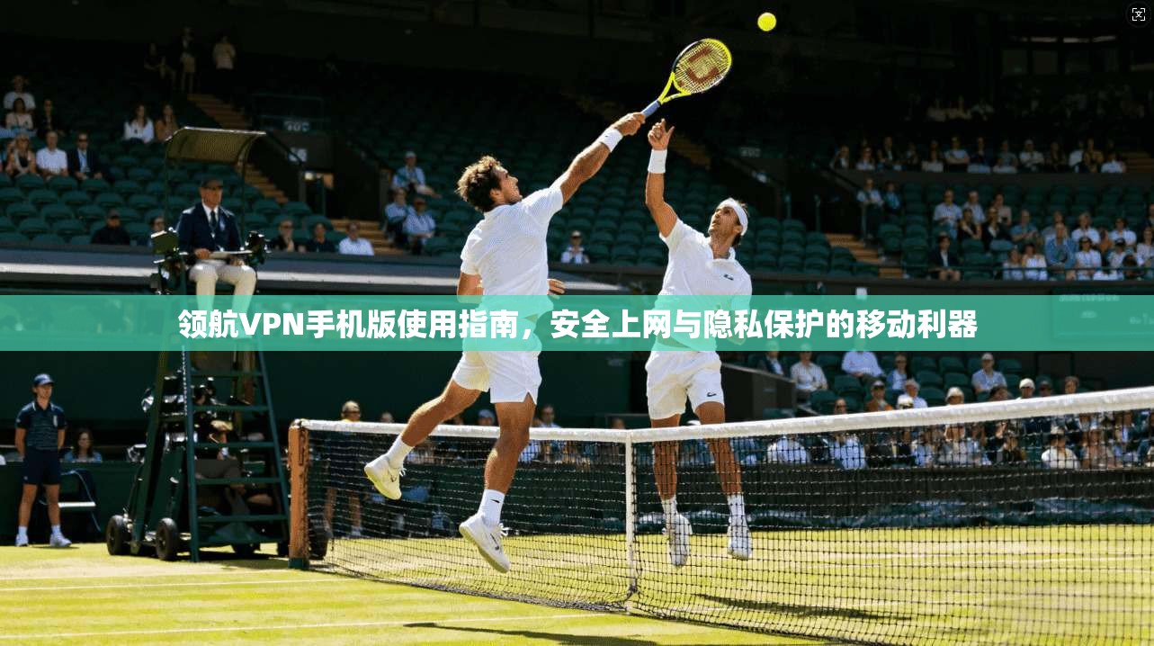 领航VPN手机版使用指南，安全上网与隐私保护的移动利器