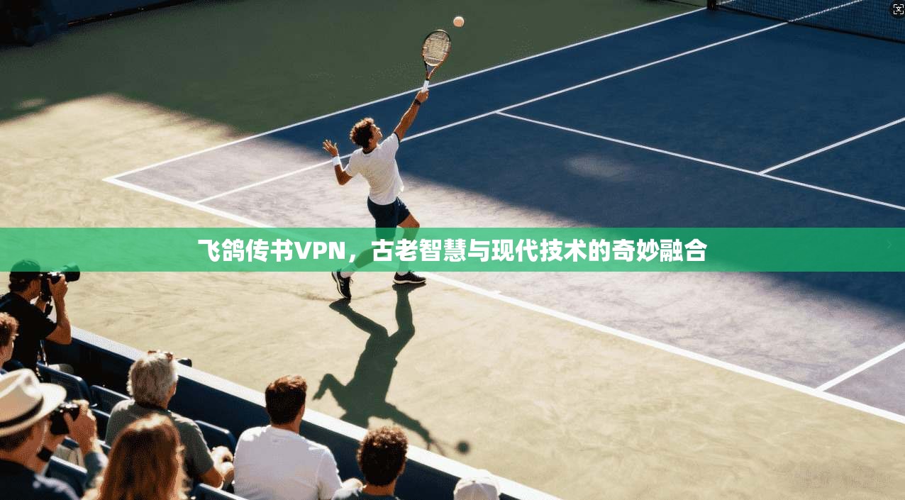 飞鸽传书VPN，古老智慧与现代技术的奇妙融合