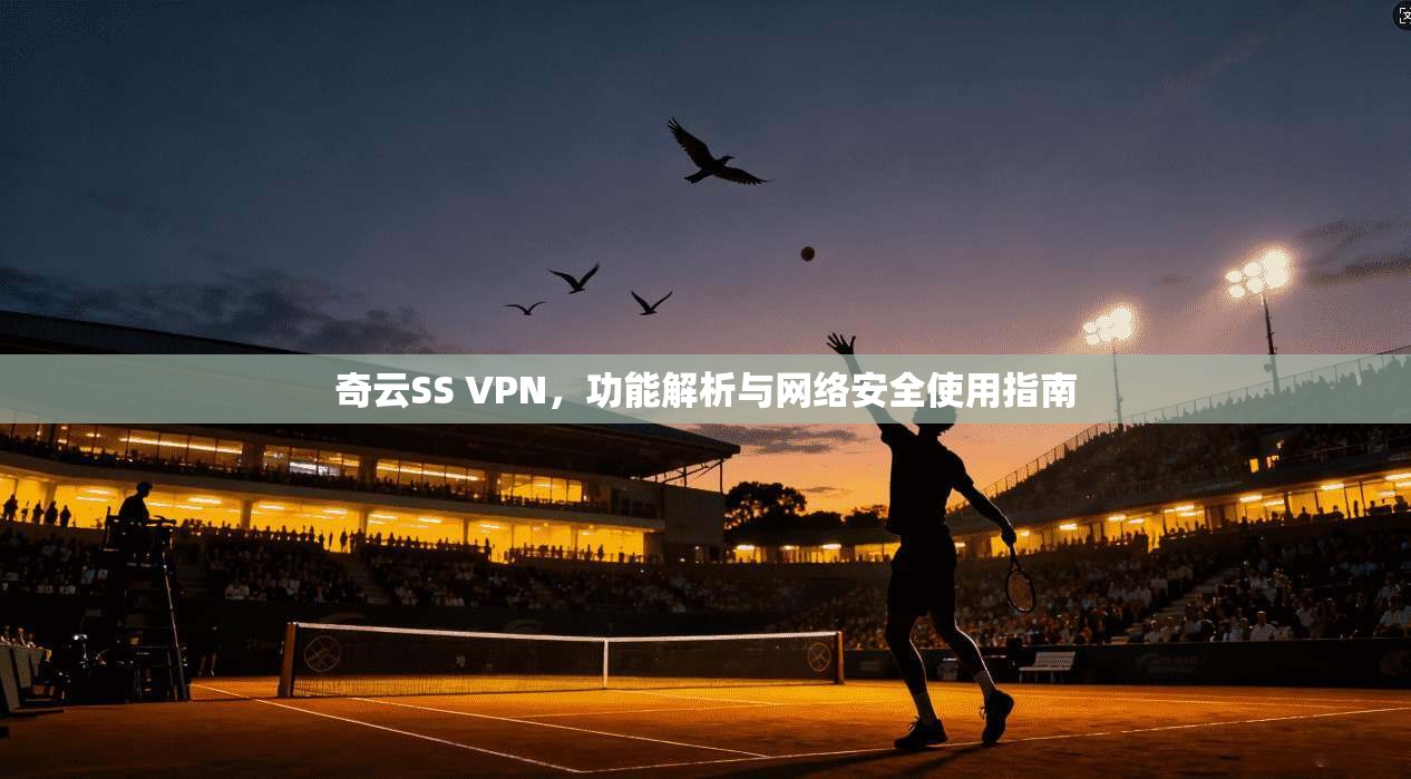 奇云SS VPN，功能解析与网络安全使用指南