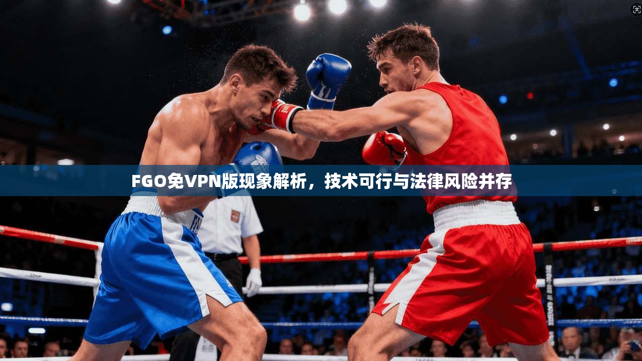 FGO免VPN版现象解析，技术可行与法律风险并存