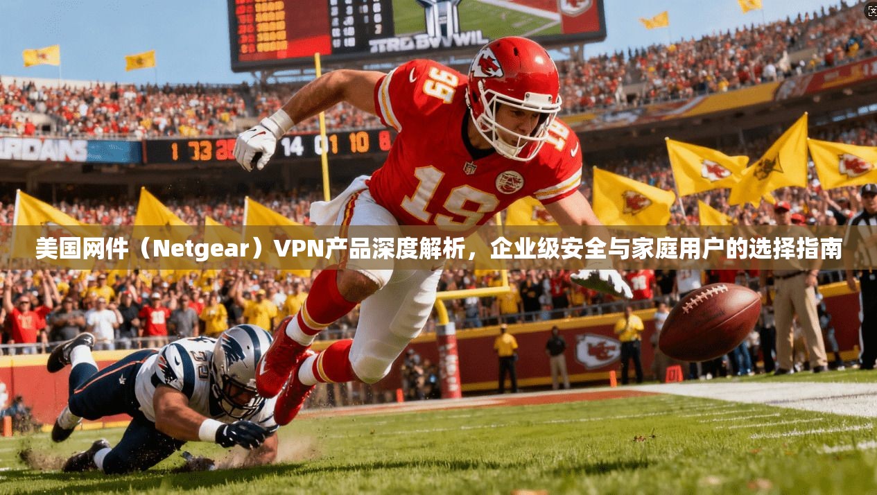 美国网件（Netgear）VPN产品深度解析，企业级安全与家庭用户的选择指南