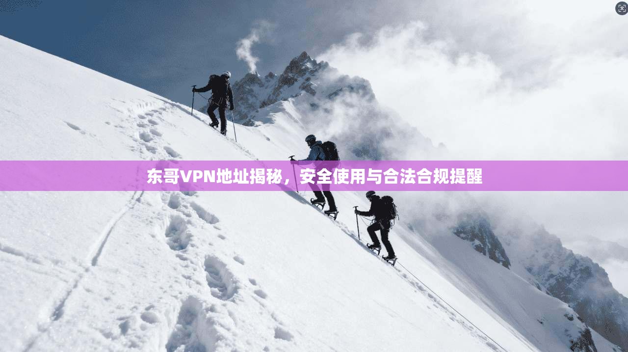东哥VPN地址揭秘，安全使用与合法合规提醒