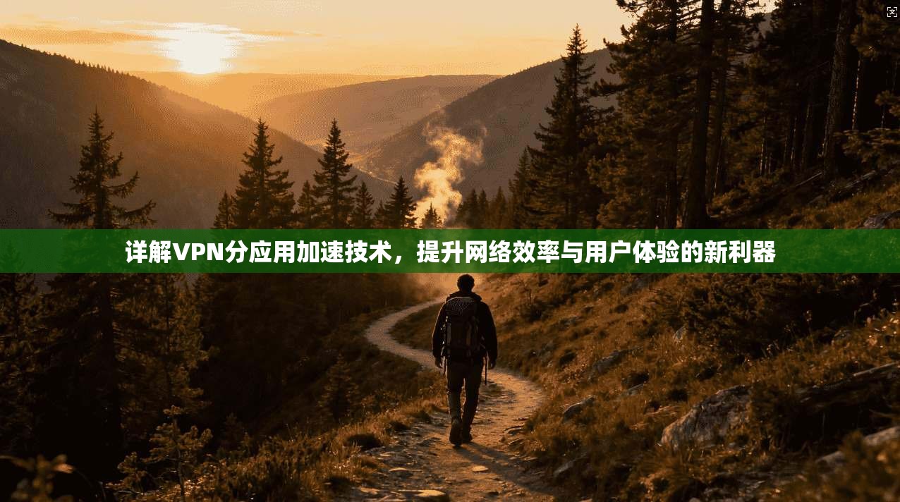 详解VPN分应用加速技术，提升网络效率与用户体验的新利器