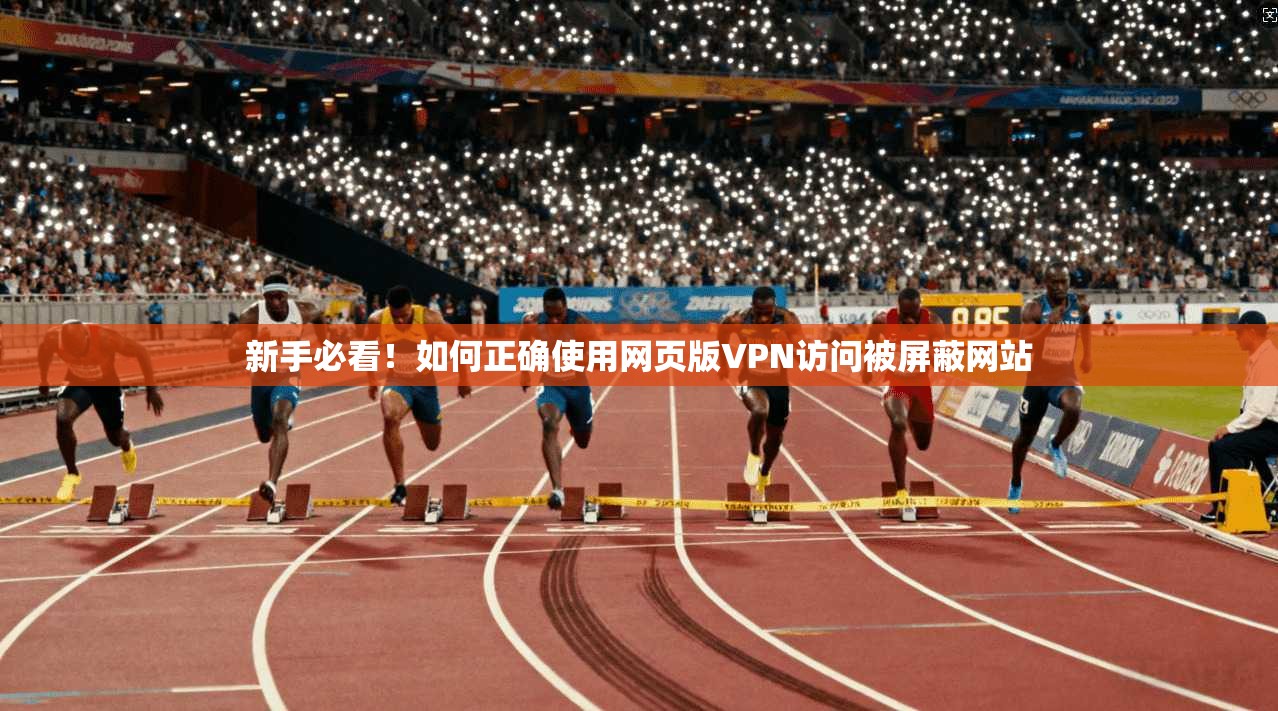 新手必看!如何正确使用网页版VPN访问被屏蔽网站 新手必看!如何正确使用网页版VPN访问被屏蔽网站