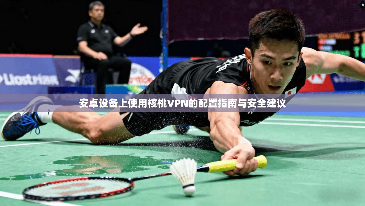 安卓设备上使用核桃VPN的配置指南与安全建议