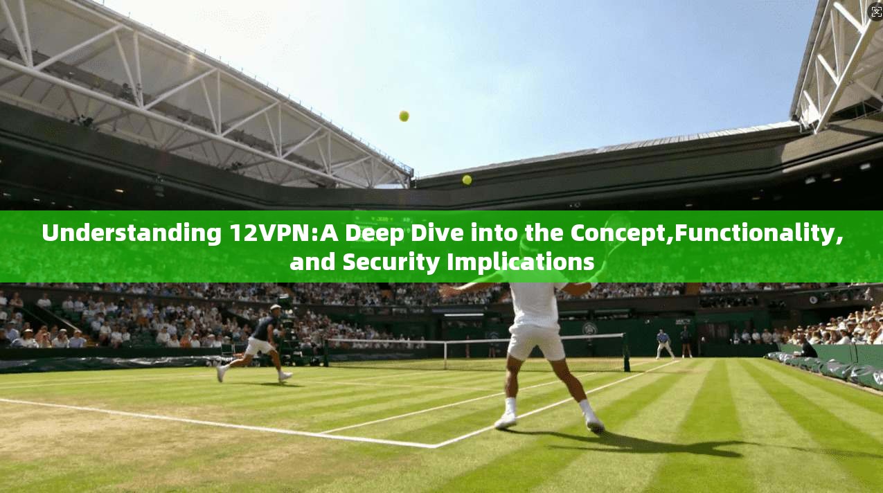 Understanding 12VPN:A Deep Dive into the Concept,Functionality,and Security Implications