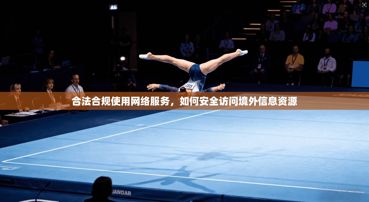 合法合规使用网络服务，如何安全访问境外信息资源