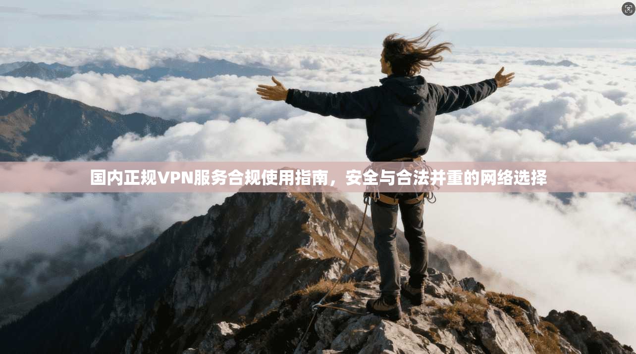 国内正规VPN服务合规使用指南，安全与合法并重的网络选择