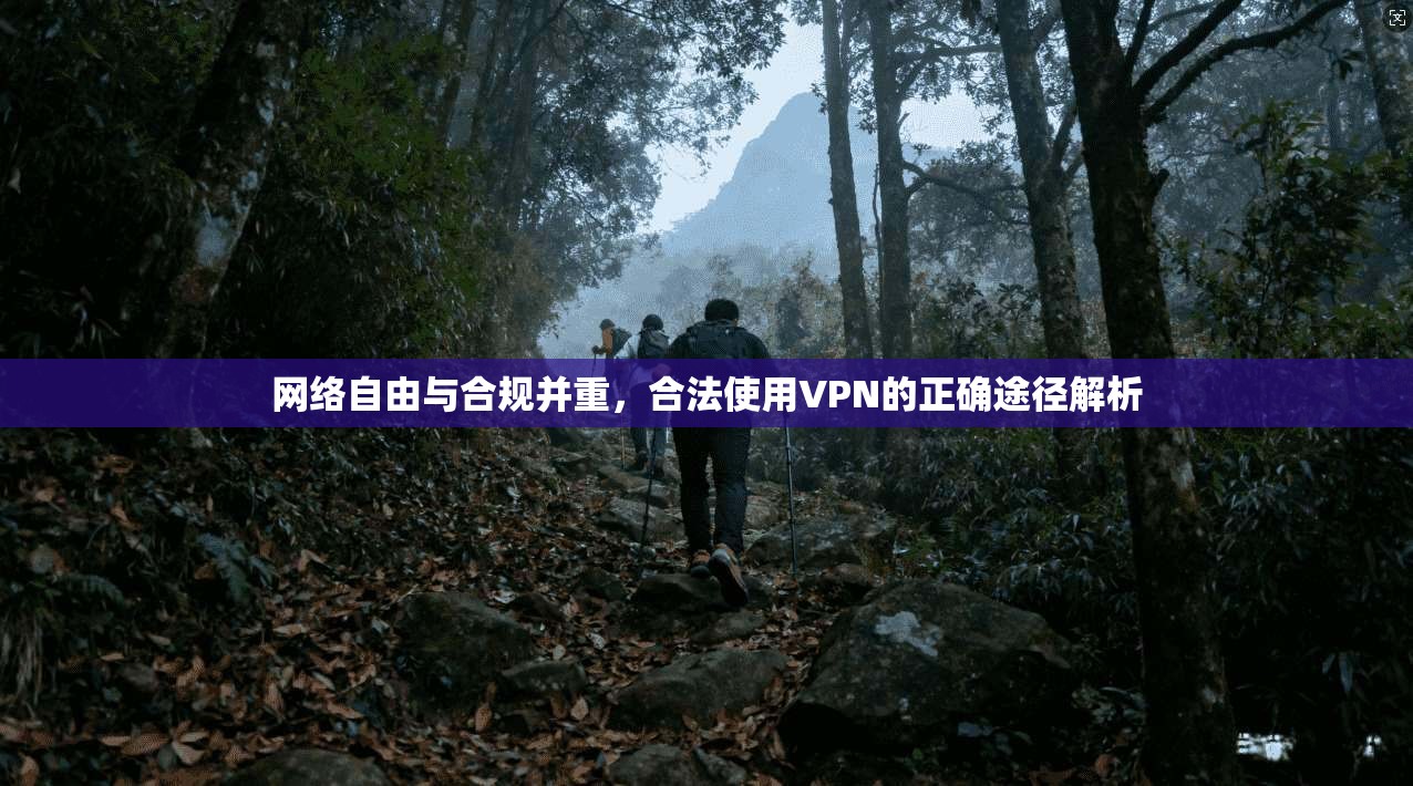 网络自由与合规并重，合法使用VPN的正确途径解析