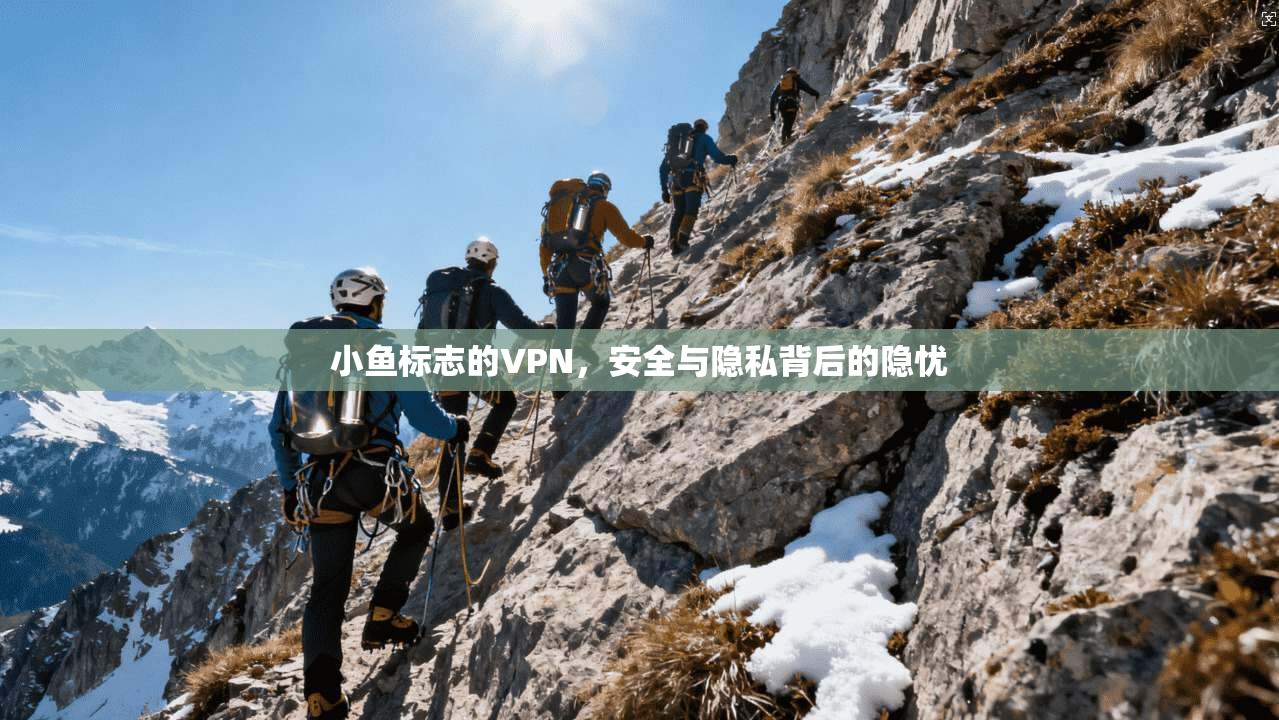 小鱼标志的VPN，安全与隐私背后的隐忧