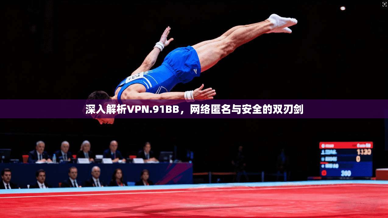深入解析VPN.91BB，网络匿名与安全的双刃剑