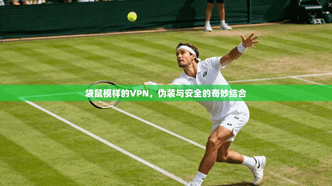 袋鼠模样的VPN，伪装与安全的奇妙结合