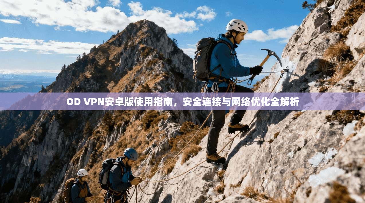 OD VPN安卓版使用指南，安全连接与网络优化全解析