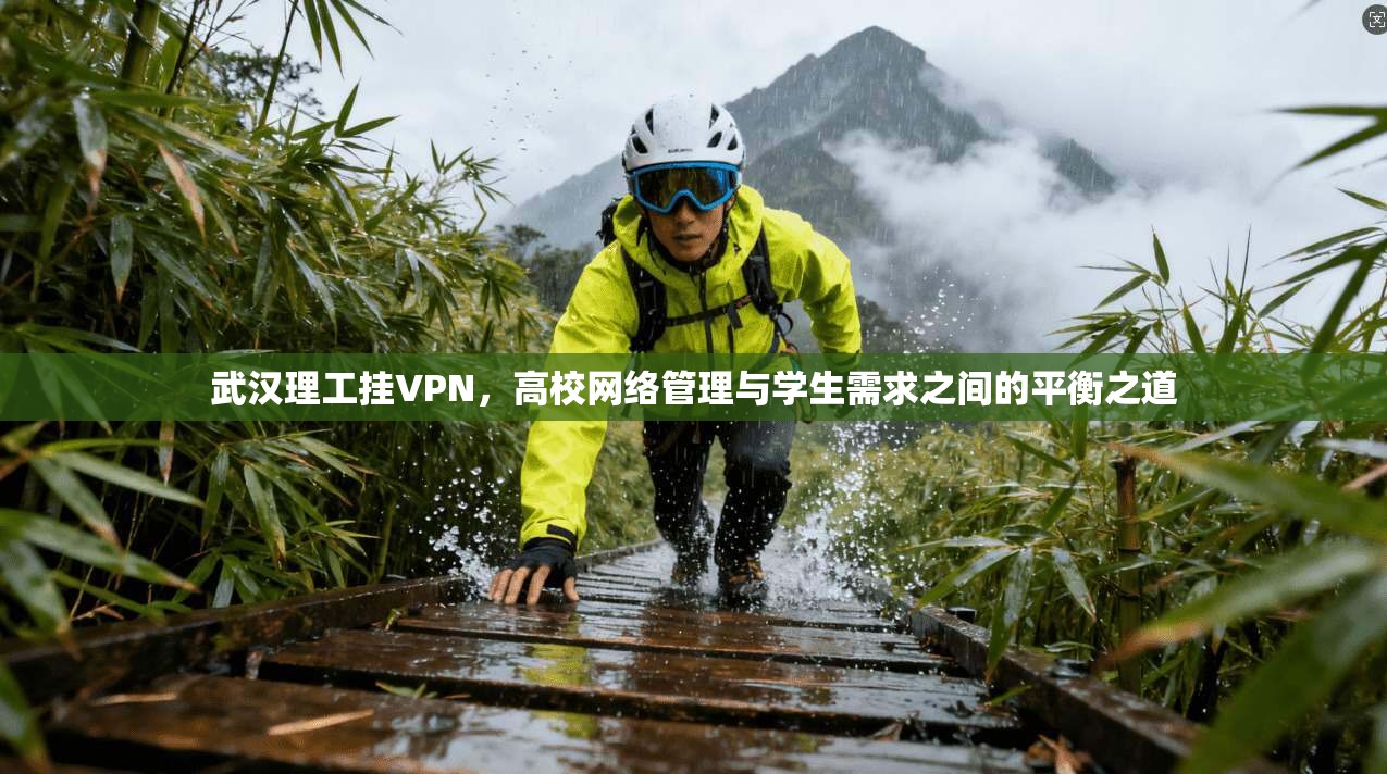 武汉理工挂VPN，高校网络管理与学生需求之间的平衡之道
