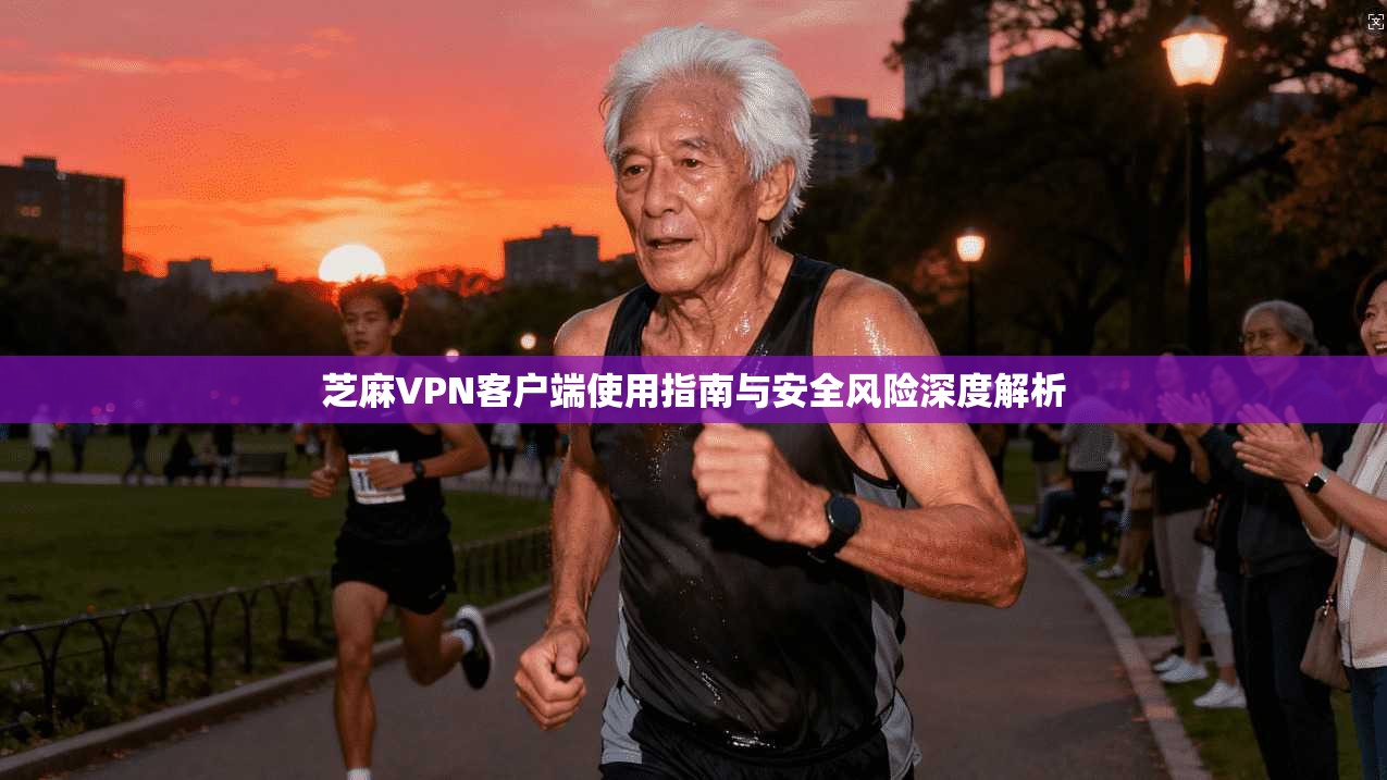 芝麻VPN客户端使用指南与安全风险深度解析