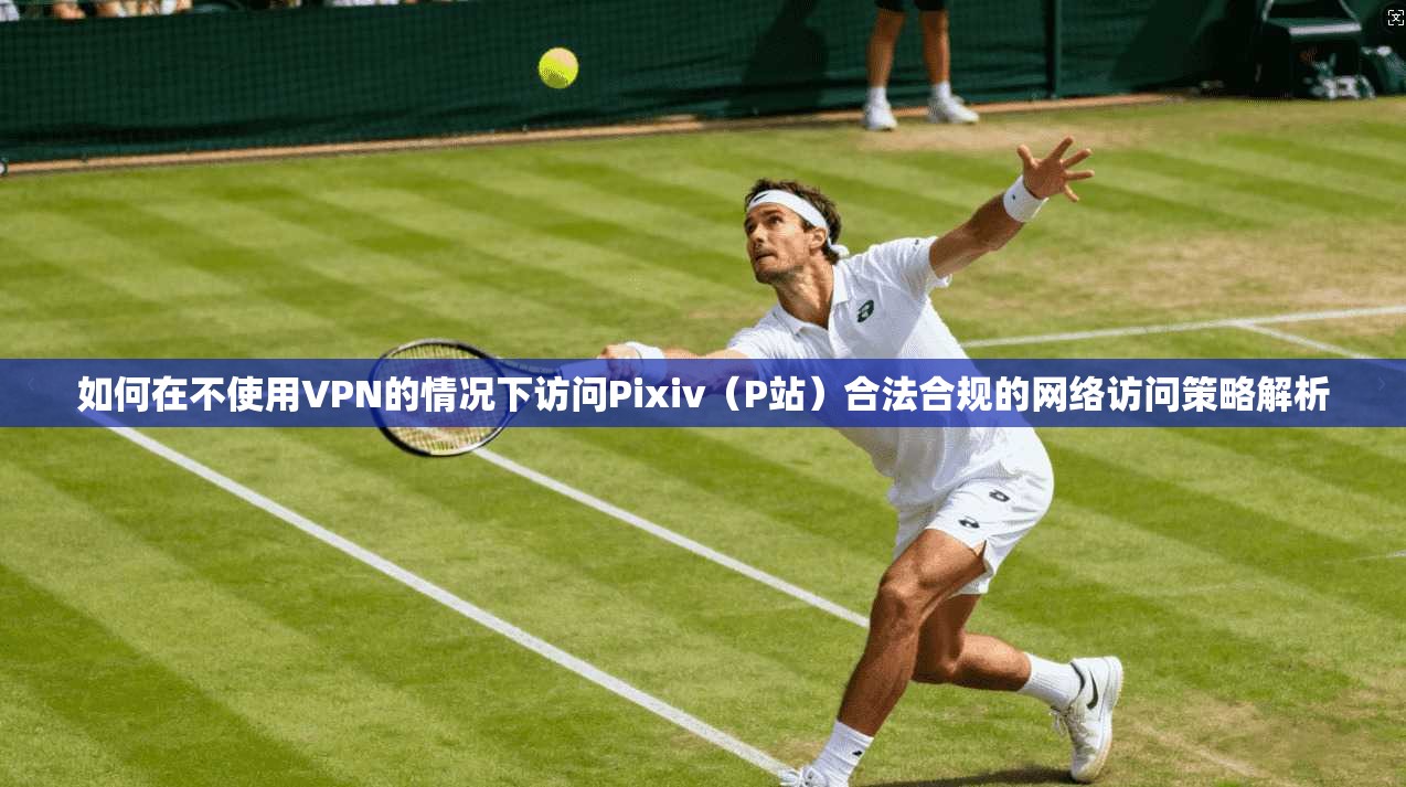 如何在不使用VPN的情况下访问Pixiv（P站）合法合规的网络访问策略解析