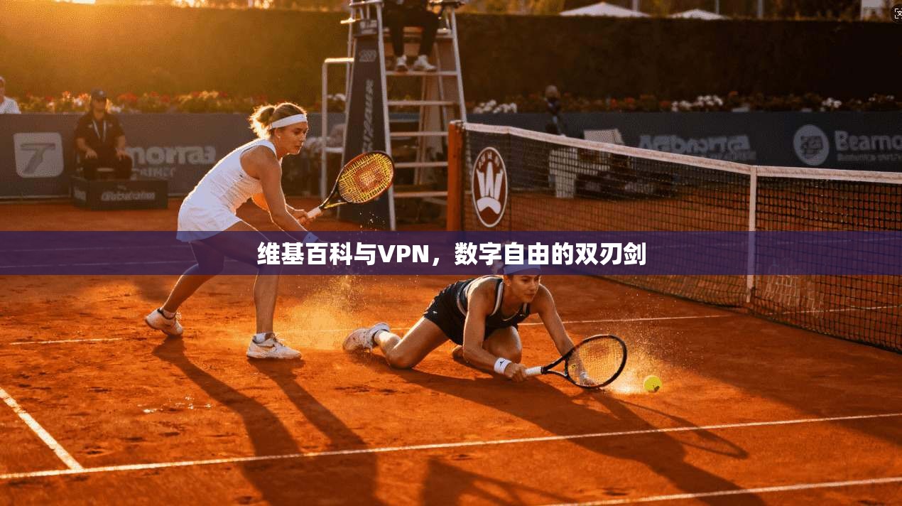 维基百科与VPN，数字自由的双刃剑