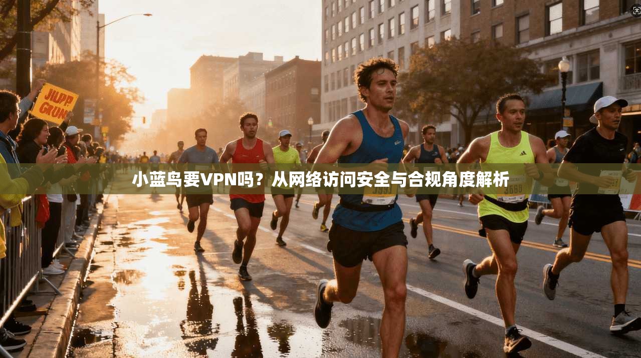 小蓝鸟要VPN吗？从网络访问安全与合规角度解析