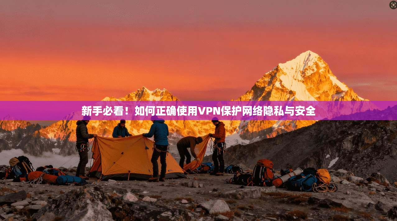 新手必看！如何正确使用VPN保护网络隐私与安全