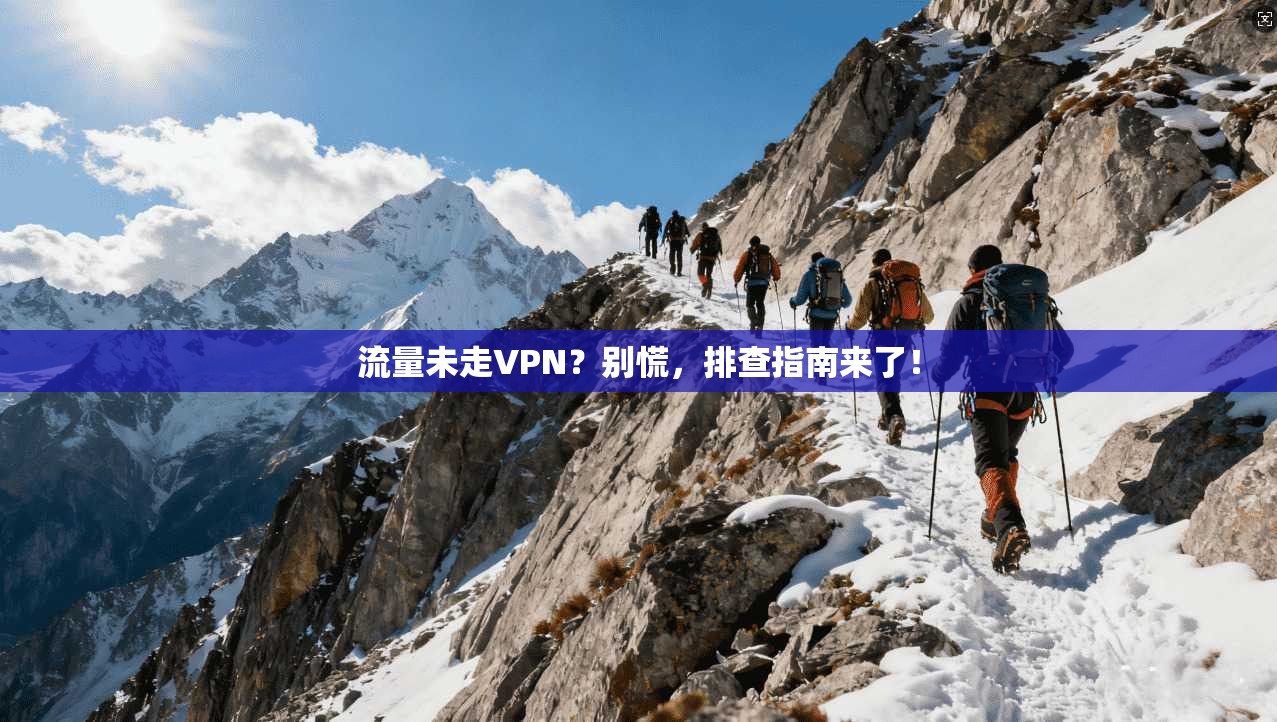 流量未走VPN？别慌，排查指南来了！