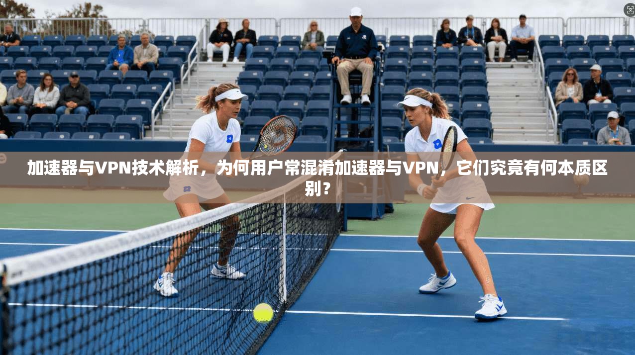 加速器与VPN技术解析，为何用户常混淆加速器与VPN，它们究竟有何本质区别？