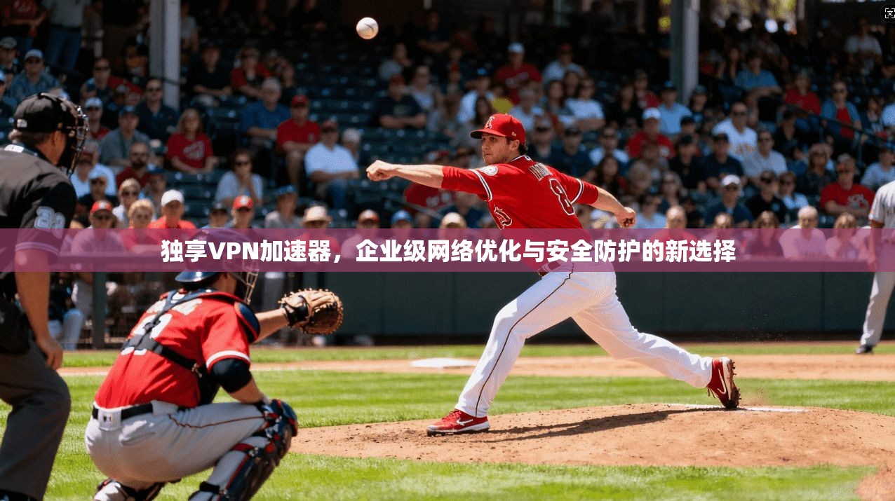 独享VPN加速器，企业级网络优化与安全防护的新选择