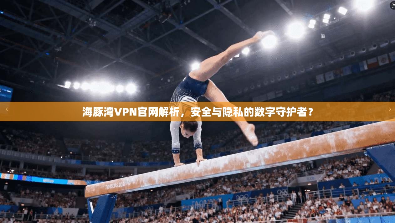海豚湾VPN官网解析，安全与隐私的数字守护者？
