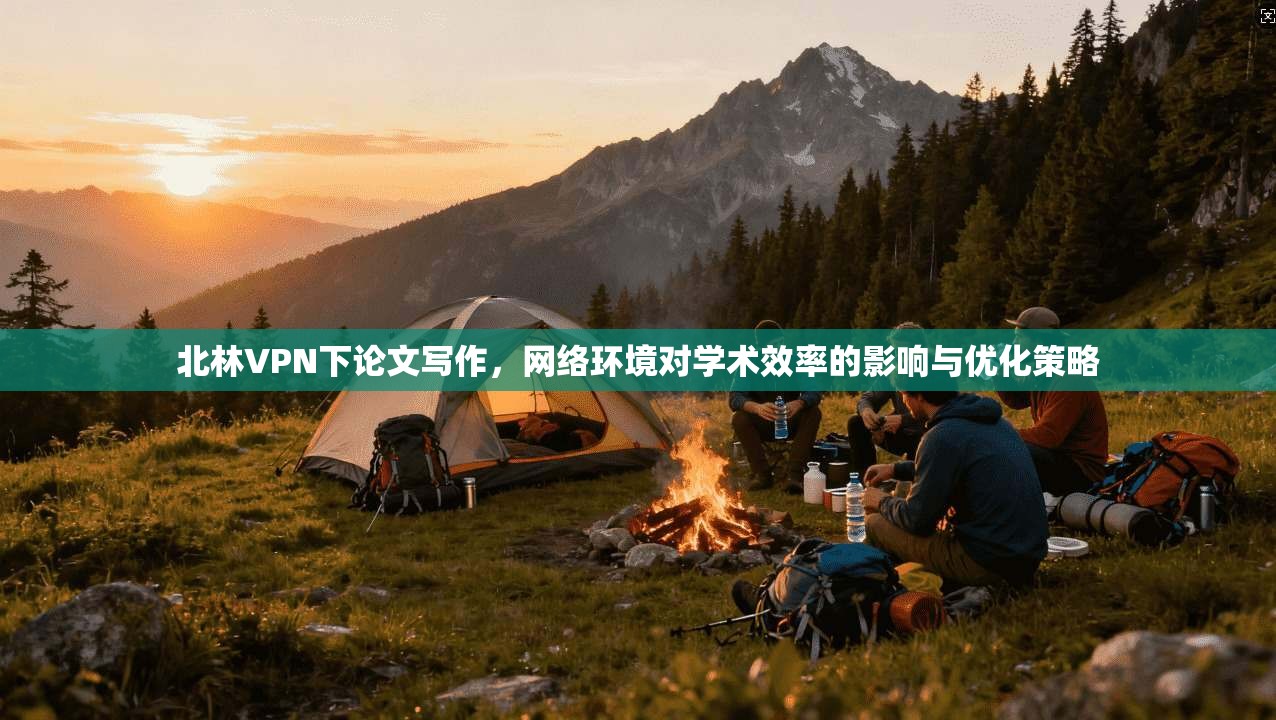 北林VPN下论文写作，网络环境对学术效率的影响与优化策略
