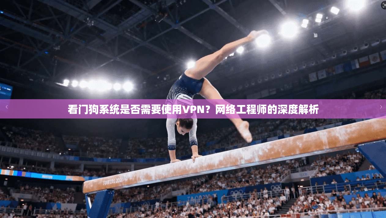 看门狗系统是否需要使用VPN？网络工程师的深度解析