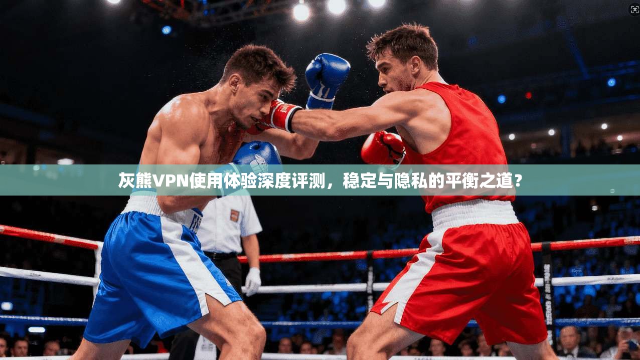 灰熊VPN使用体验深度评测，稳定与隐私的平衡之道？