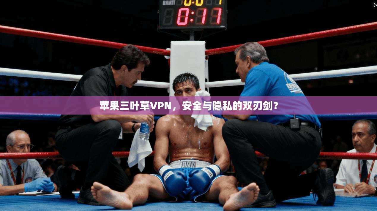 苹果三叶草VPN，安全与隐私的双刃剑？