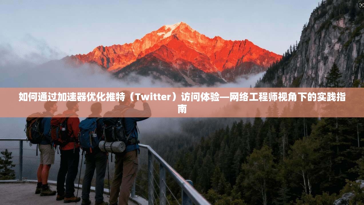 如何通过加速器优化推特（Twitter）访问体验—网络工程师视角下的实践指南