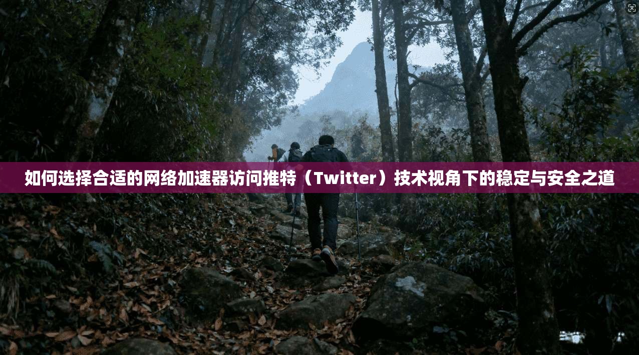 如何选择合适的网络加速器访问推特（Twitter）技术视角下的稳定与安全之道