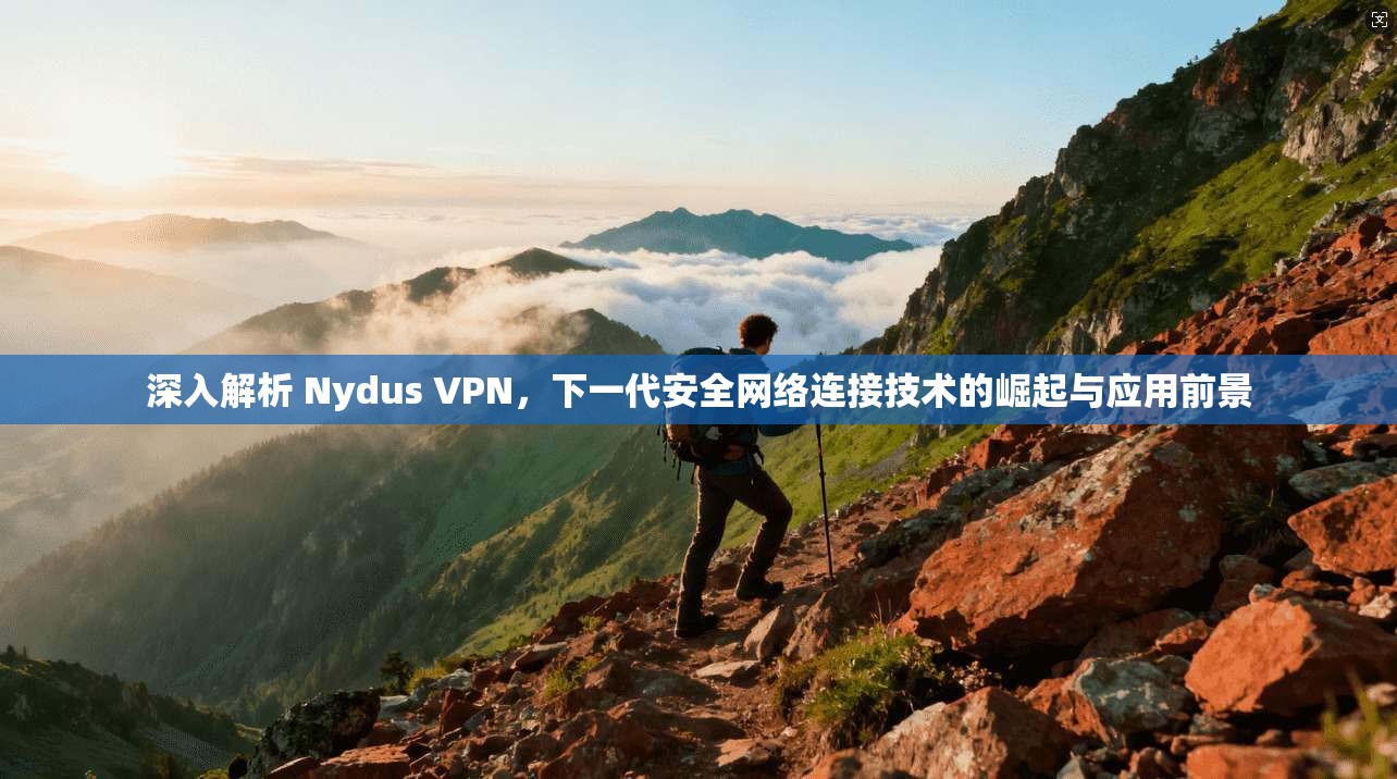 深入解析 Nydus VPN，下一代安全网络连接技术的崛起与应用前景