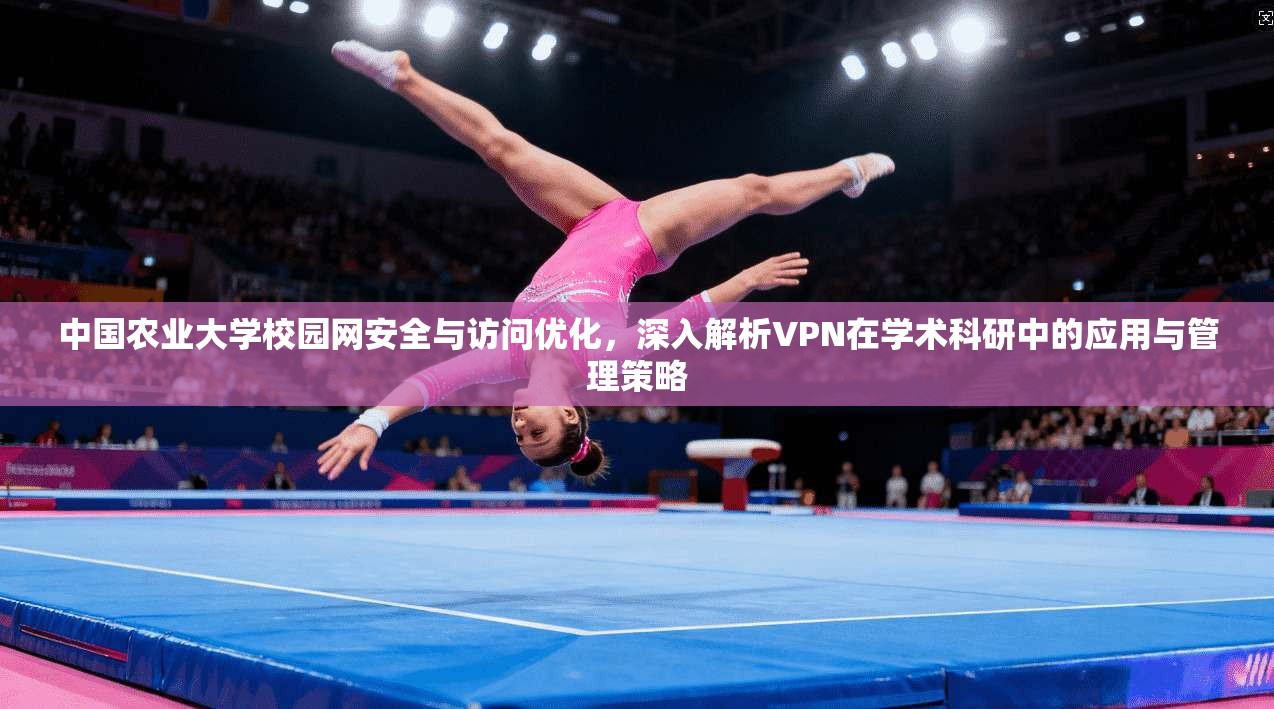 中国农业大学校园网安全与访问优化，深入解析VPN在学术科研中的应用与管理策略