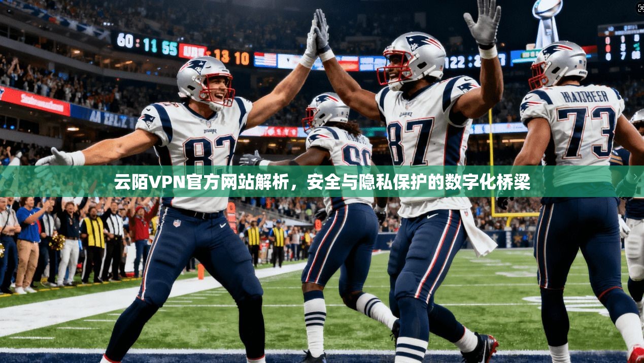 云陌VPN官方网站解析，安全与隐私保护的数字化桥梁
