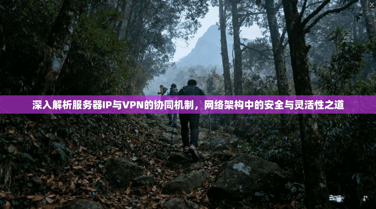 深入解析服务器IP与VPN的协同机制，网络架构中的安全与灵活性之道