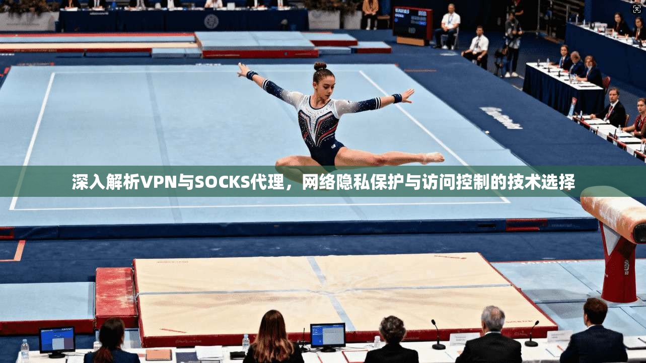 深入解析VPN与SOCKS代理，网络隐私保护与访问控制的技术选择