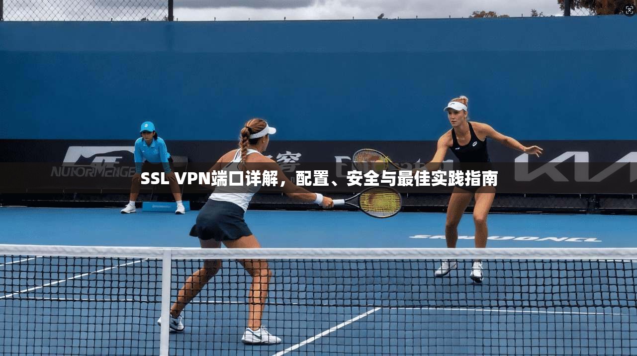 SSL VPN端口详解，配置、安全与最佳实践指南