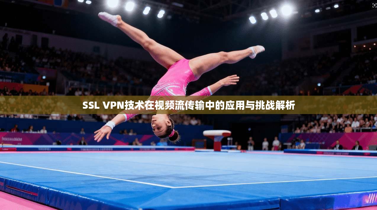 SSL VPN技术在视频流传输中的应用与挑战解析