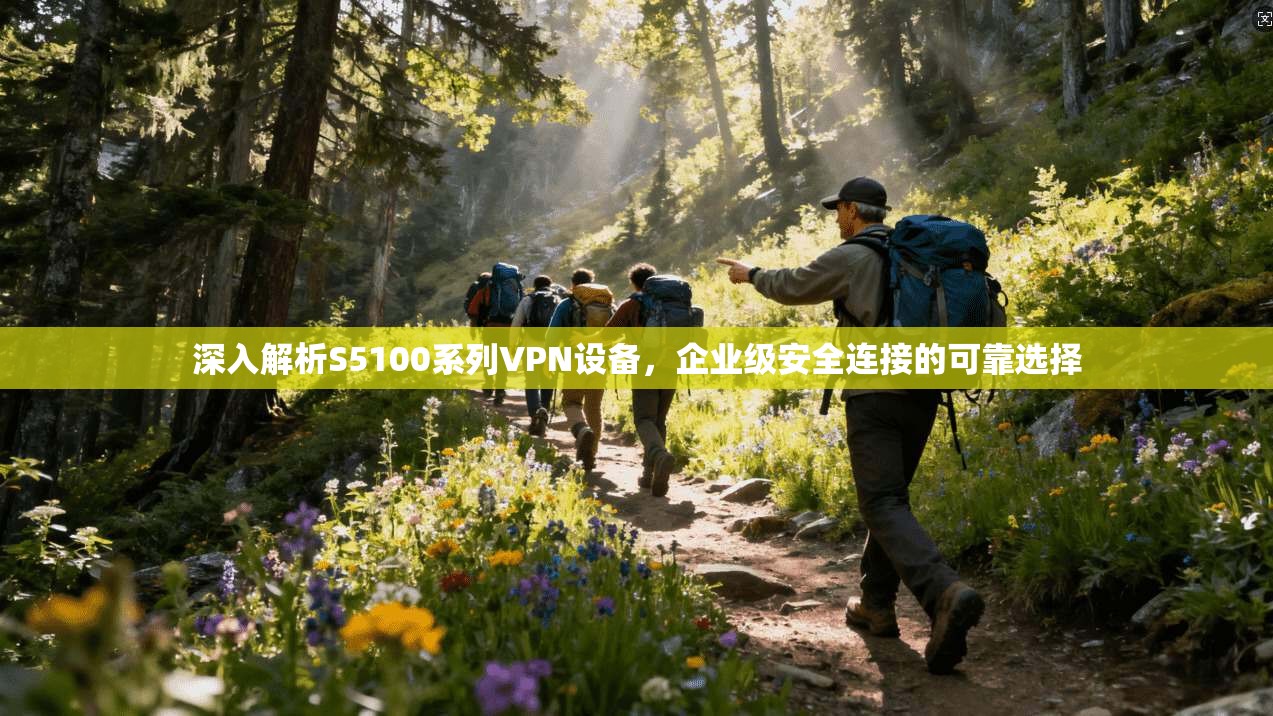 深入解析S5100系列VPN设备，企业级安全连接的可靠选择