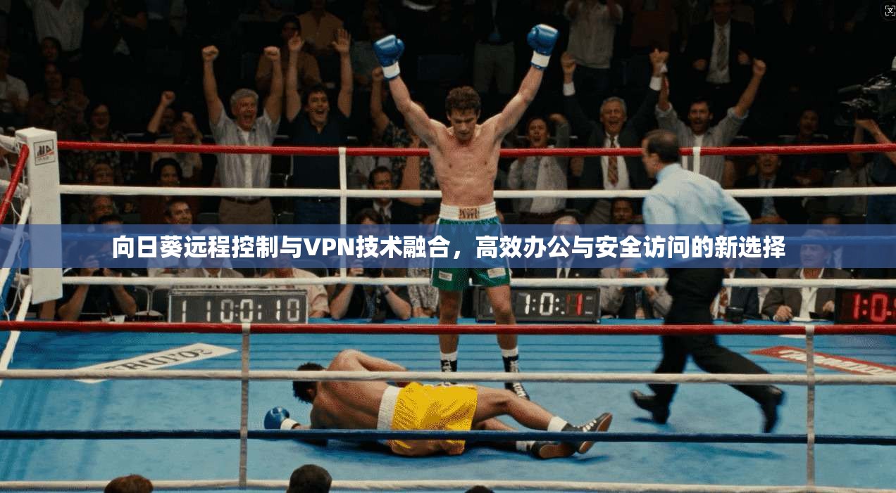 向日葵远程控制与VPN技术融合，高效办公与安全访问的新选择