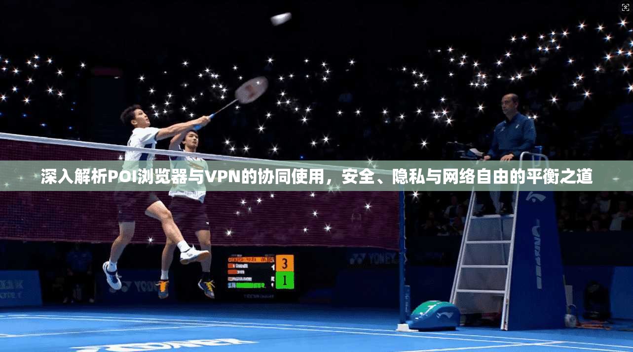 深入解析POI浏览器与VPN的协同使用，安全、隐私与网络自由的平衡之道