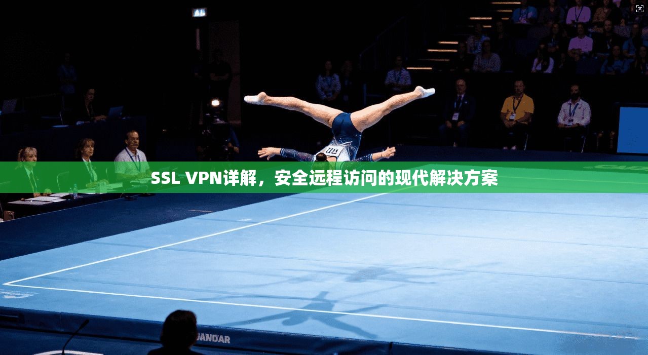 SSL VPN详解，安全远程访问的现代解决方案