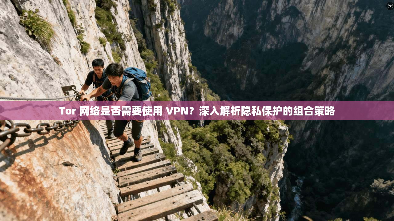 Tor 网络是否需要使用 VPN？深入解析隐私保护的组合策略