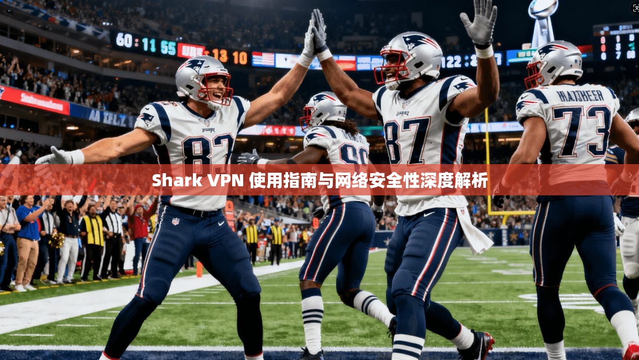 Shark VPN 使用指南与网络安全性深度解析