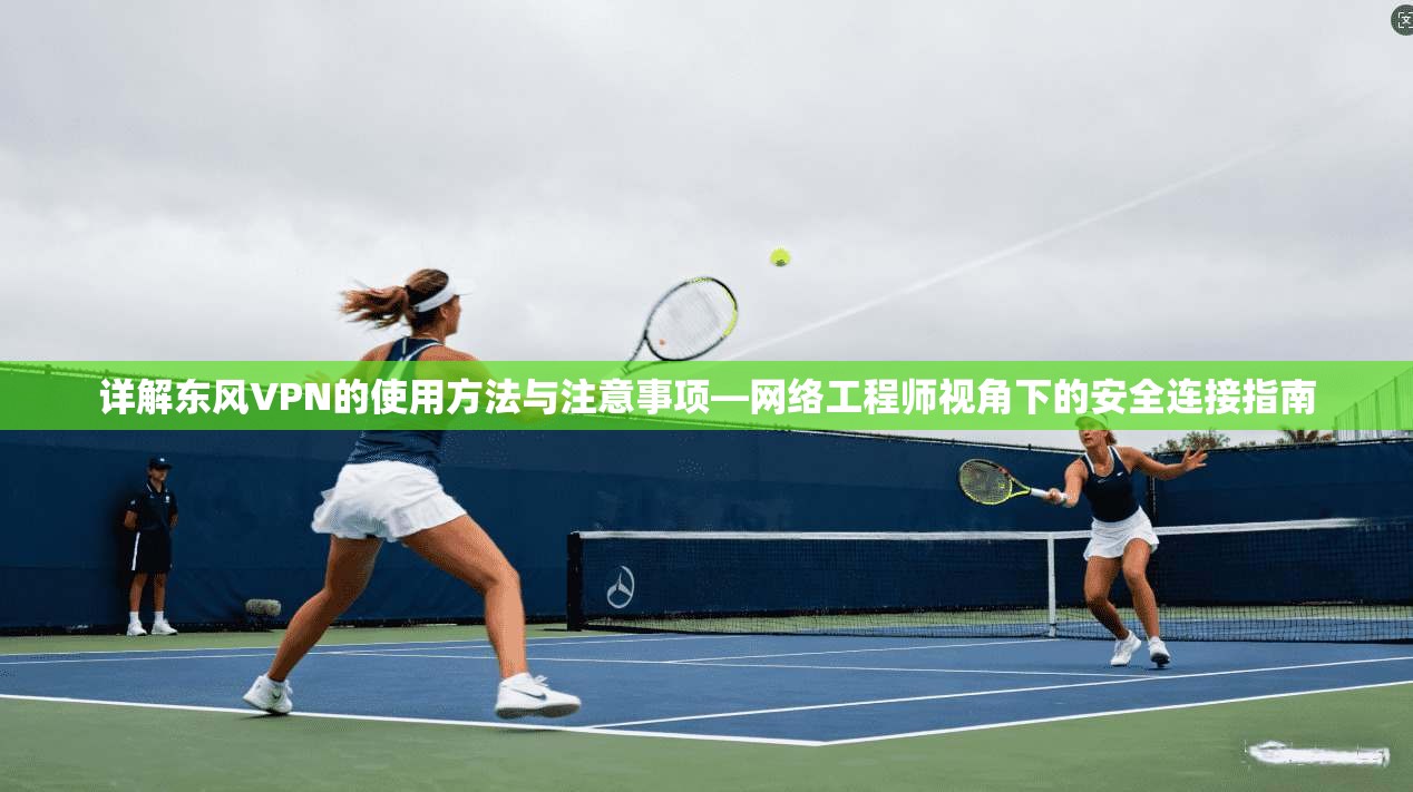 详解东风VPN的使用方法与注意事项—网络工程师视角下的安全连接指南