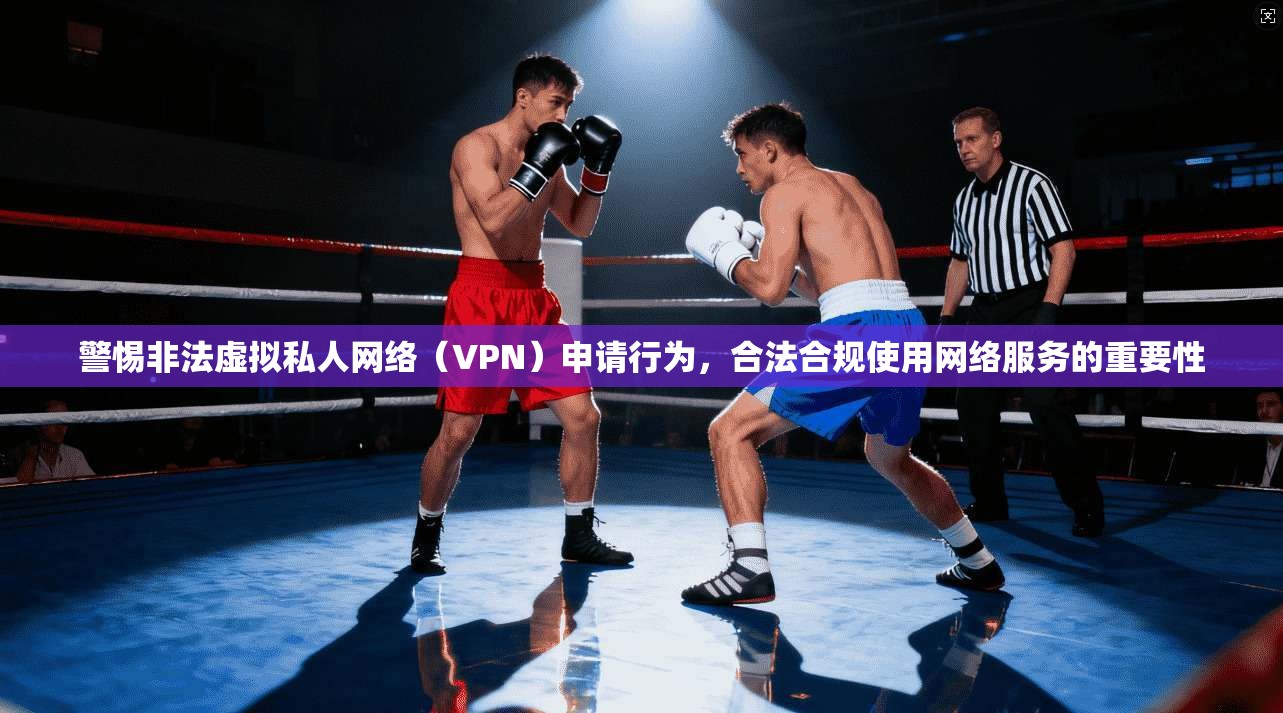 警惕非法虚拟私人网络（VPN）申请行为，合法合规使用网络服务的重要性